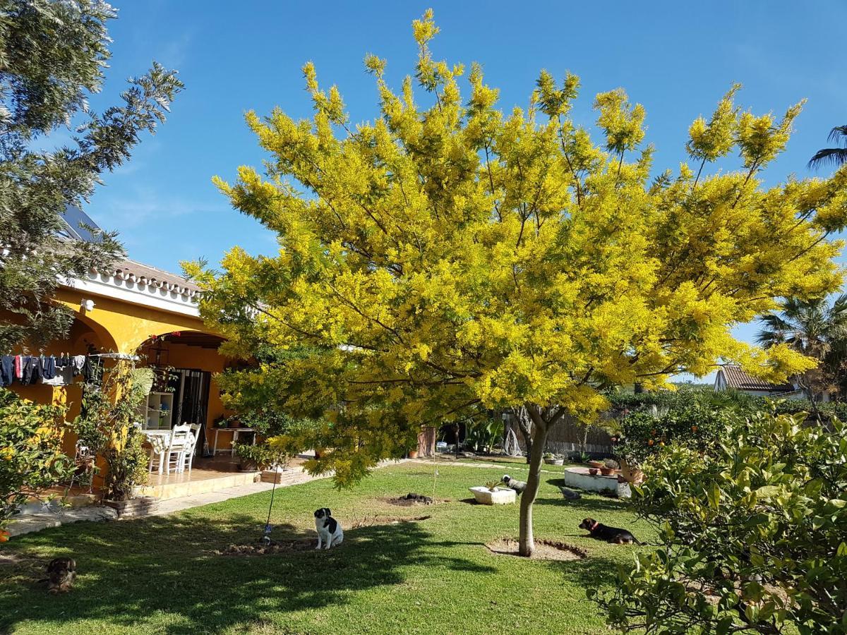 Alhaurín el Grande Finca La Gallina Blanca المظهر الخارجي الصورة
